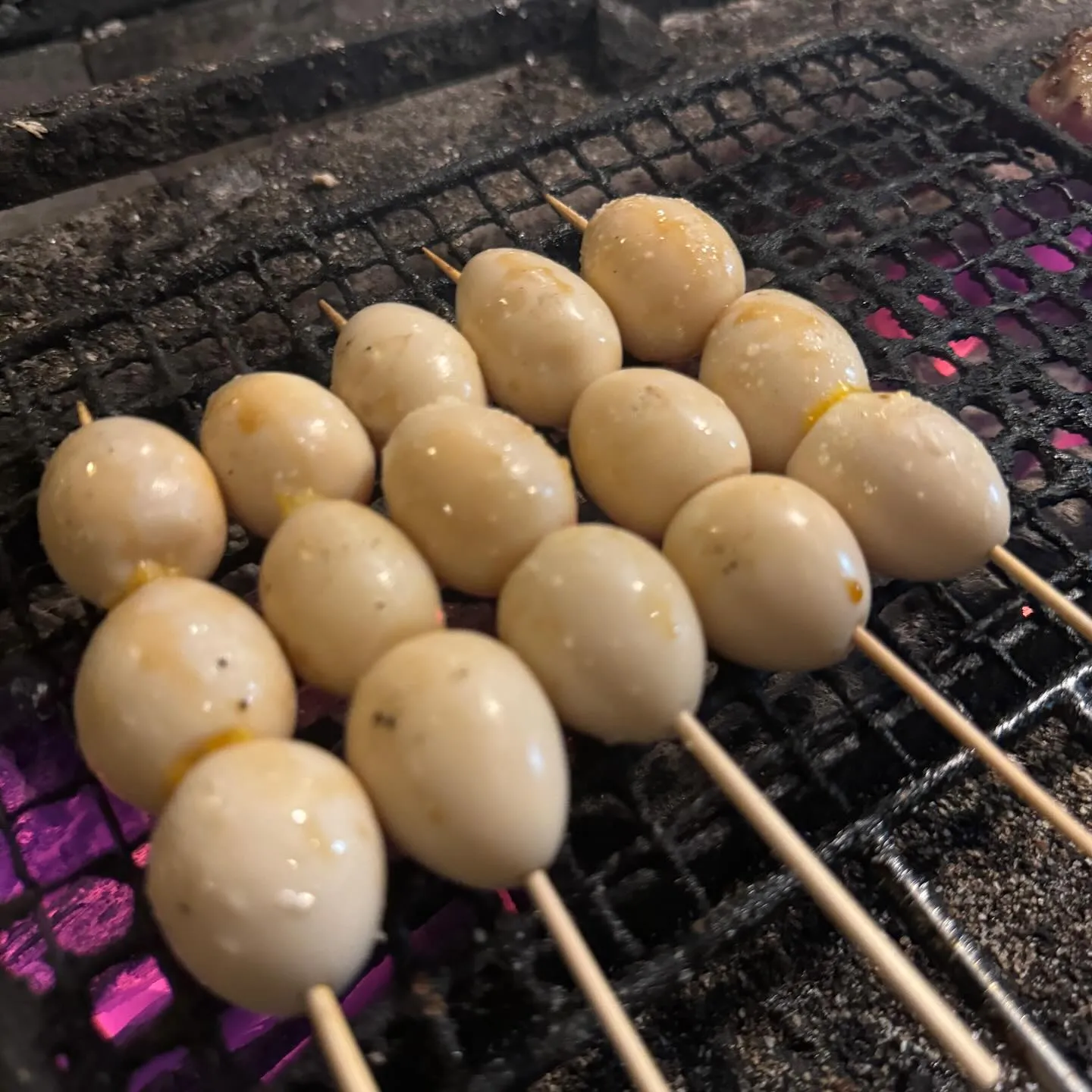 夕方から飲める武蔵境駅近の居酒屋、焼鳥屋をお探しの方はぜひ焼...