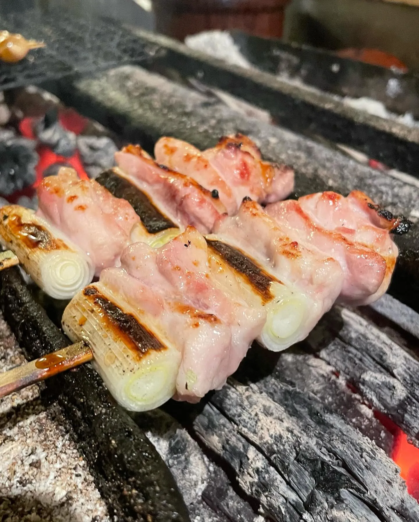 中央線•武蔵境駅周辺で美味しい焼鳥•もつ鍋•おでんが食べれる...