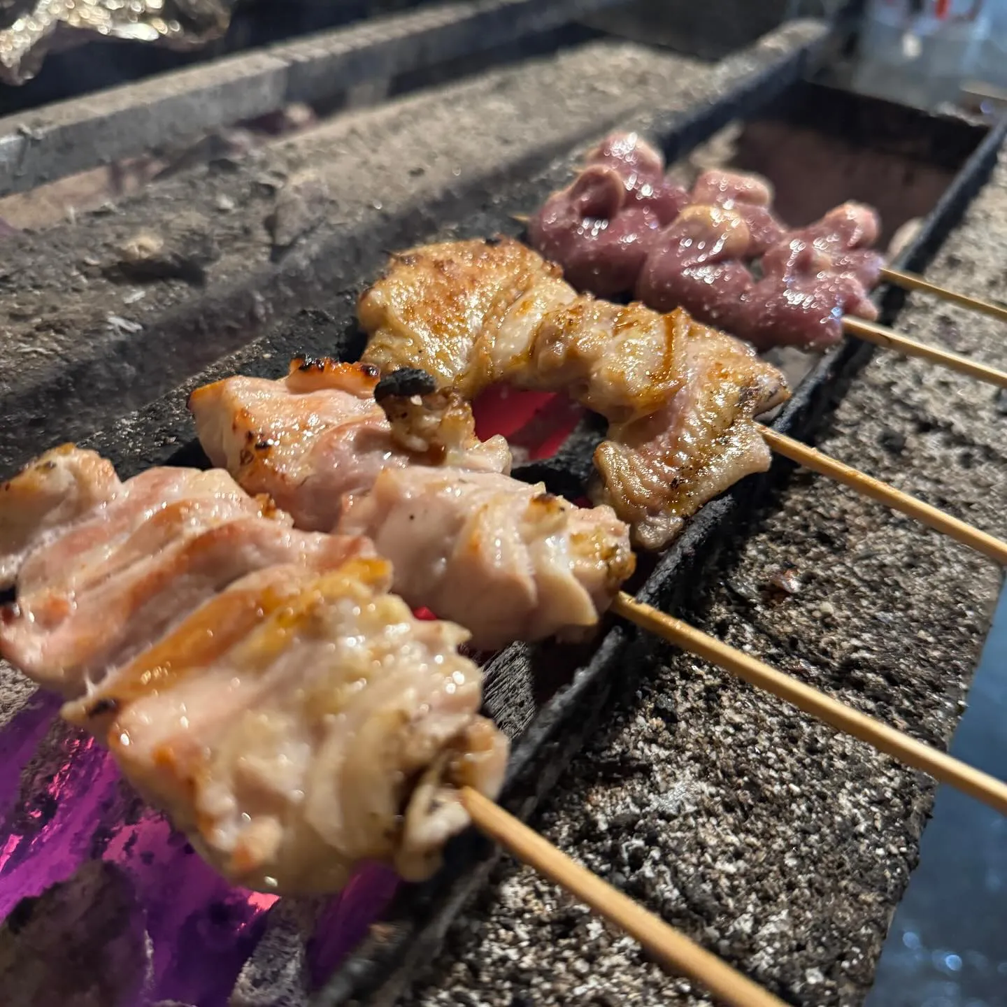 中央線•武蔵境駅周辺で美味しい焼き鳥、親子丼が食べれる【炭火...