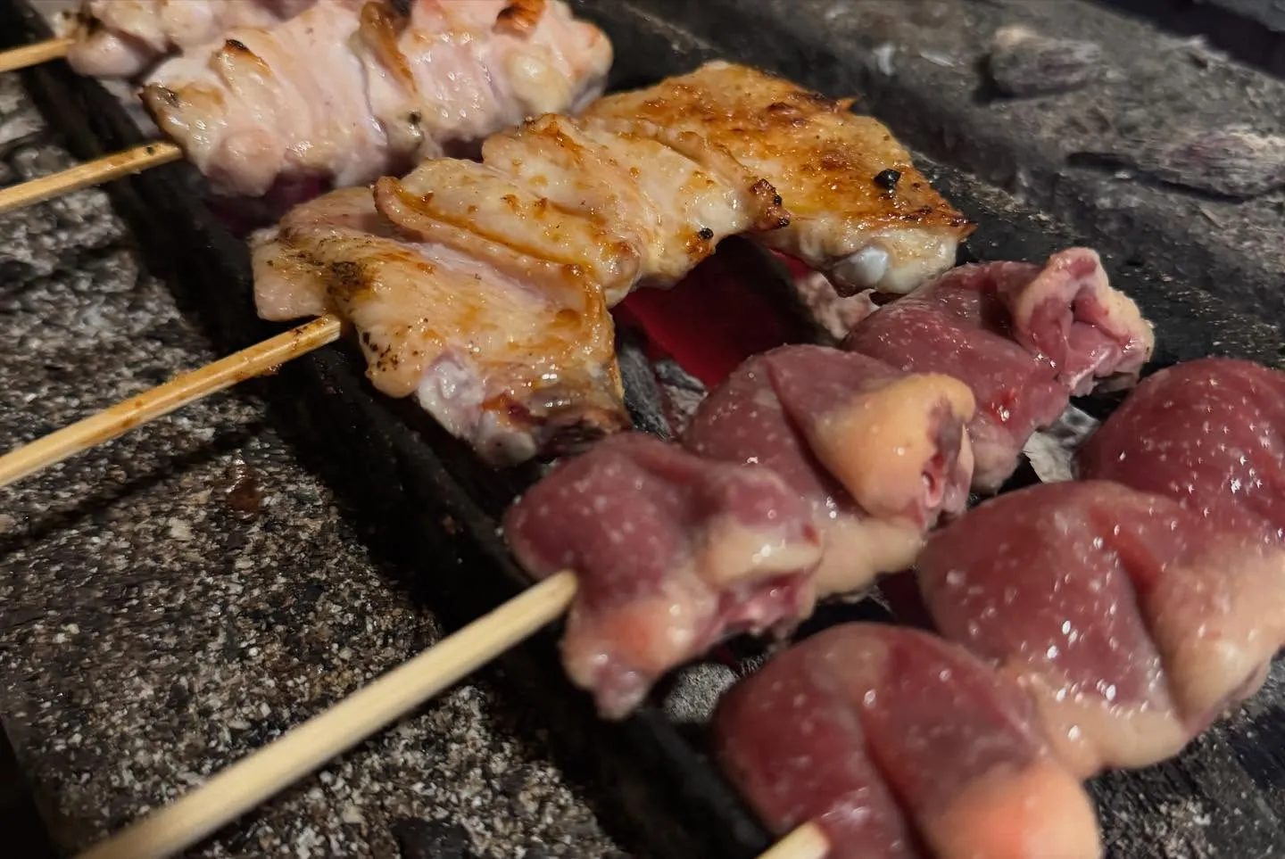 中央線・武蔵境駅周辺で美味しい焼鳥ともつ鍋が食べれる居酒屋【...